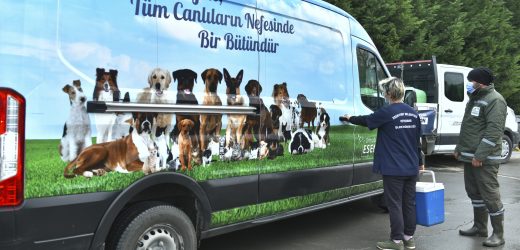 ESENYURT BELEDİYESİ’NDEN SOKAK HAYVANLARINA KUDUZ AŞISI