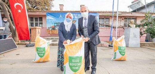 İzmir Büyükşehir Belediyesi bu kez Kirazlı üreticinin yüzünü güldürdü