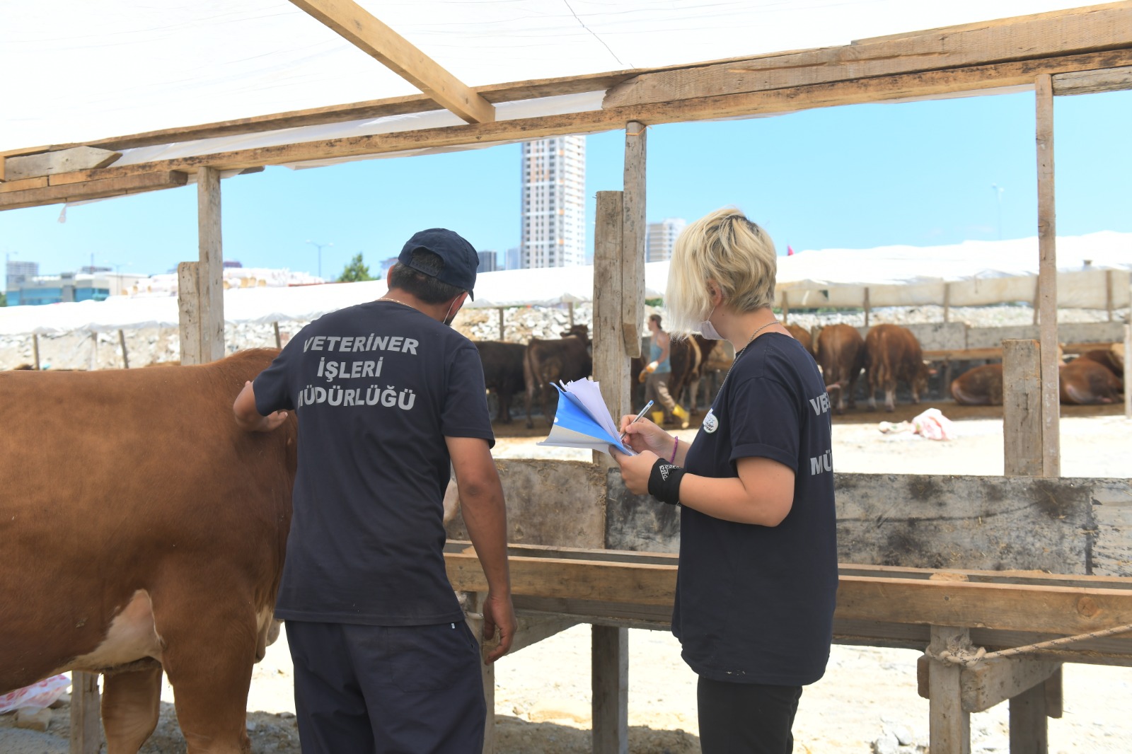 VETERİNER HEKİMLER 24 SAAT BOYUNCA ALANDA HİZMET VERİYOR