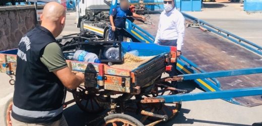 Manisa Büyükşehir Belediyesi At arabaları ile ilgili çalışma gerçekleştirdi