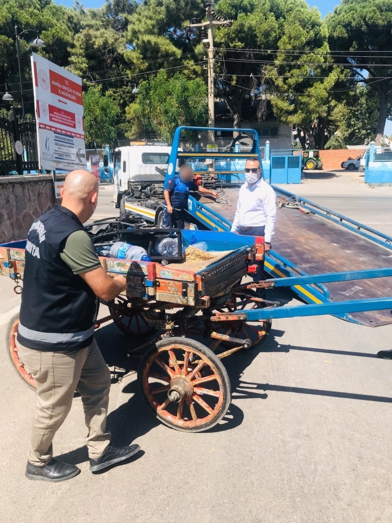 Manisa Büyükşehir Belediyesi At arabaları ile ilgili çalışma gerçekleştirdi