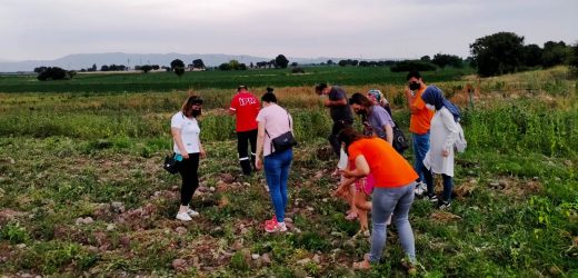 Kınık’ta Tibbi Ve Aromatik Bitki Yetiştiriciliği Kursiyerleri İlk Ürünleri Yerinde İnceledi