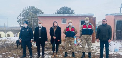 ARDAHAN’DA SAHİPSİZ SOKAK HAYVANLARI EMİN ELLERDE