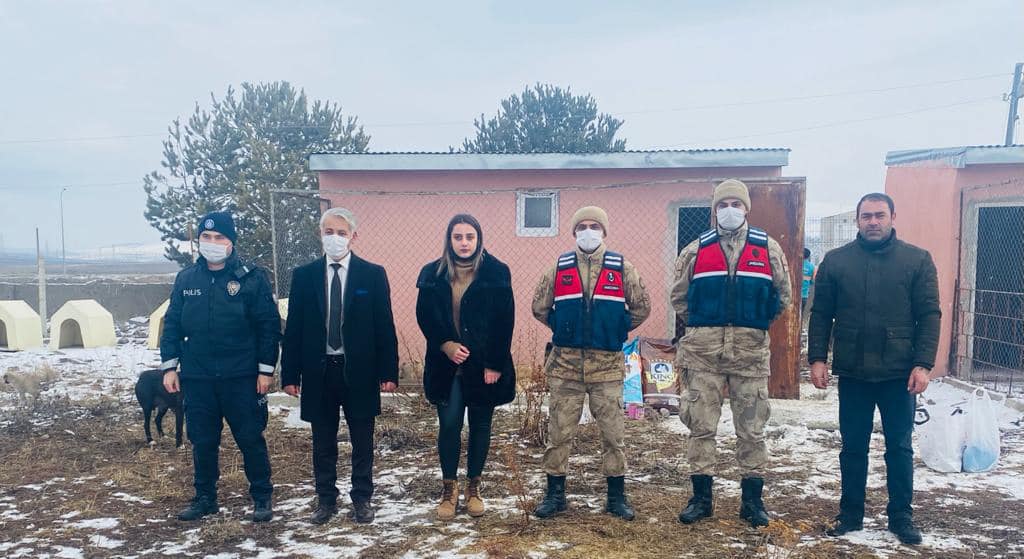 ARDAHAN’DA SAHİPSİZ SOKAK HAYVANLARI EMİN ELLERDE