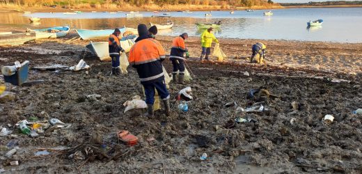 BARAJ HAVZALARINDAN 40 TON ATIK ÇIKTI