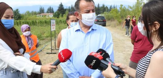 200 yıldır korunan ıspanak tohumları toprakla buluştu