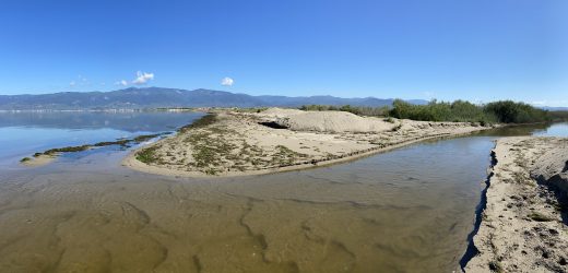 Sulak Alanların Kaybı Kamuoyunu Endişelendiriyor