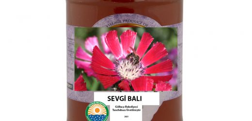 GÖLBAŞI BELEDİYESİ ARICILIK KURSU BAŞLIYOR, SEVGİ ÇİÇEĞİ BALI MARKALAŞIYOR