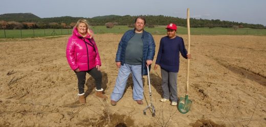 Çanakkale’den dünyaya aronya ihraç ediyor