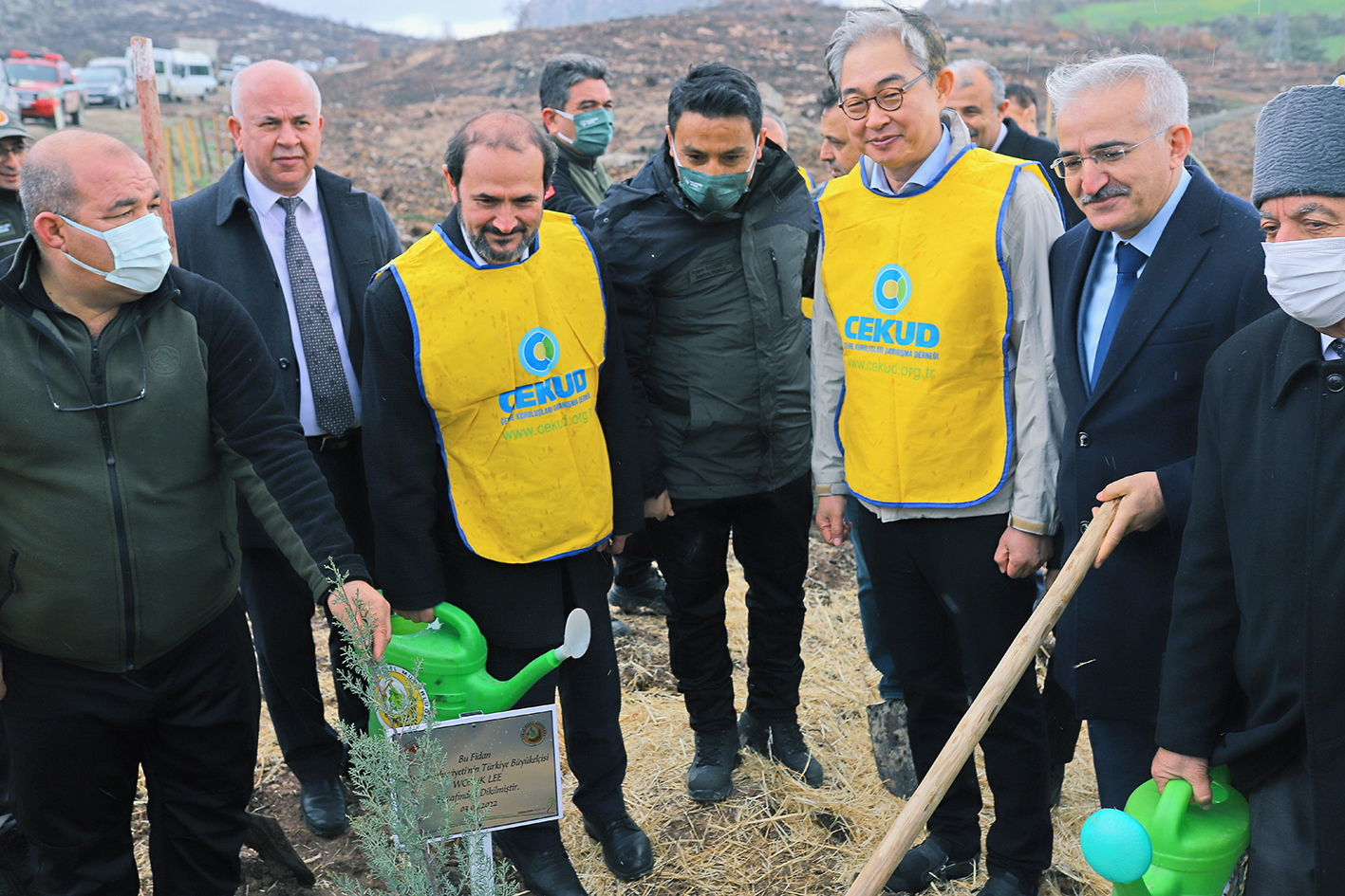Türkiye – Kore dostluğu 580 bin fidanla kökleşti