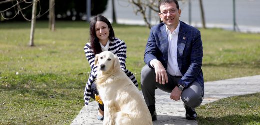 CAN DOSTLARIMIZI “SAHİPLEN İSTANBUL”