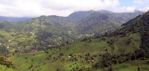 Gürsel Tekin’den yaylaların imara açılmasına tepki: Yeşile tahammülleri yok!