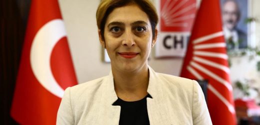 CHP EFELER İLÇE KADIN KOLLARI BAŞKANI ÖZLEM EKİZ BASIN AÇIKLAMASI