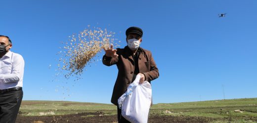 Başkan Faruk Demir, 13 bin yıllık tohumu toprakla buluşturdu