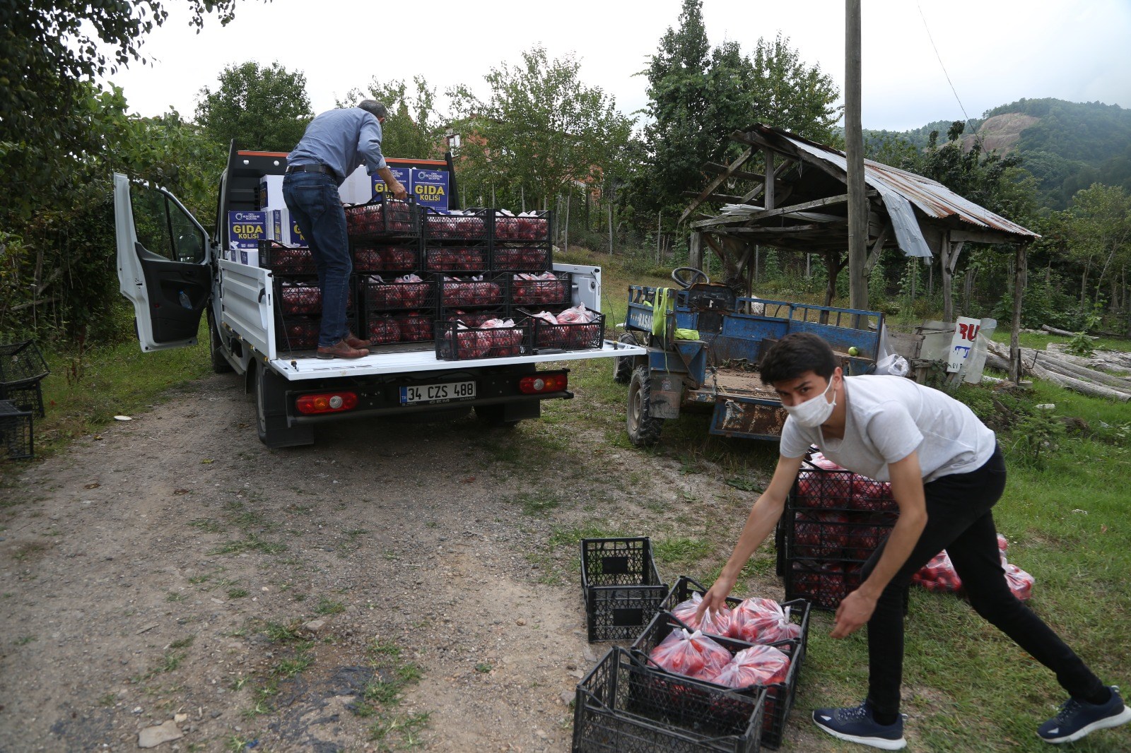 BAŞKAN GÜLER’İN PROJESİ İLK MEYVESİNİ VERDİ İLK HASAT BAŞLADI