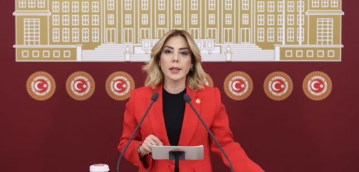 MİLLETVEKİLİ GÖKCAN: ÖNCE RUHSATI VERİYORLAR, BAKANLIĞIN YAZISI ARKADAN GELİYOR!!!