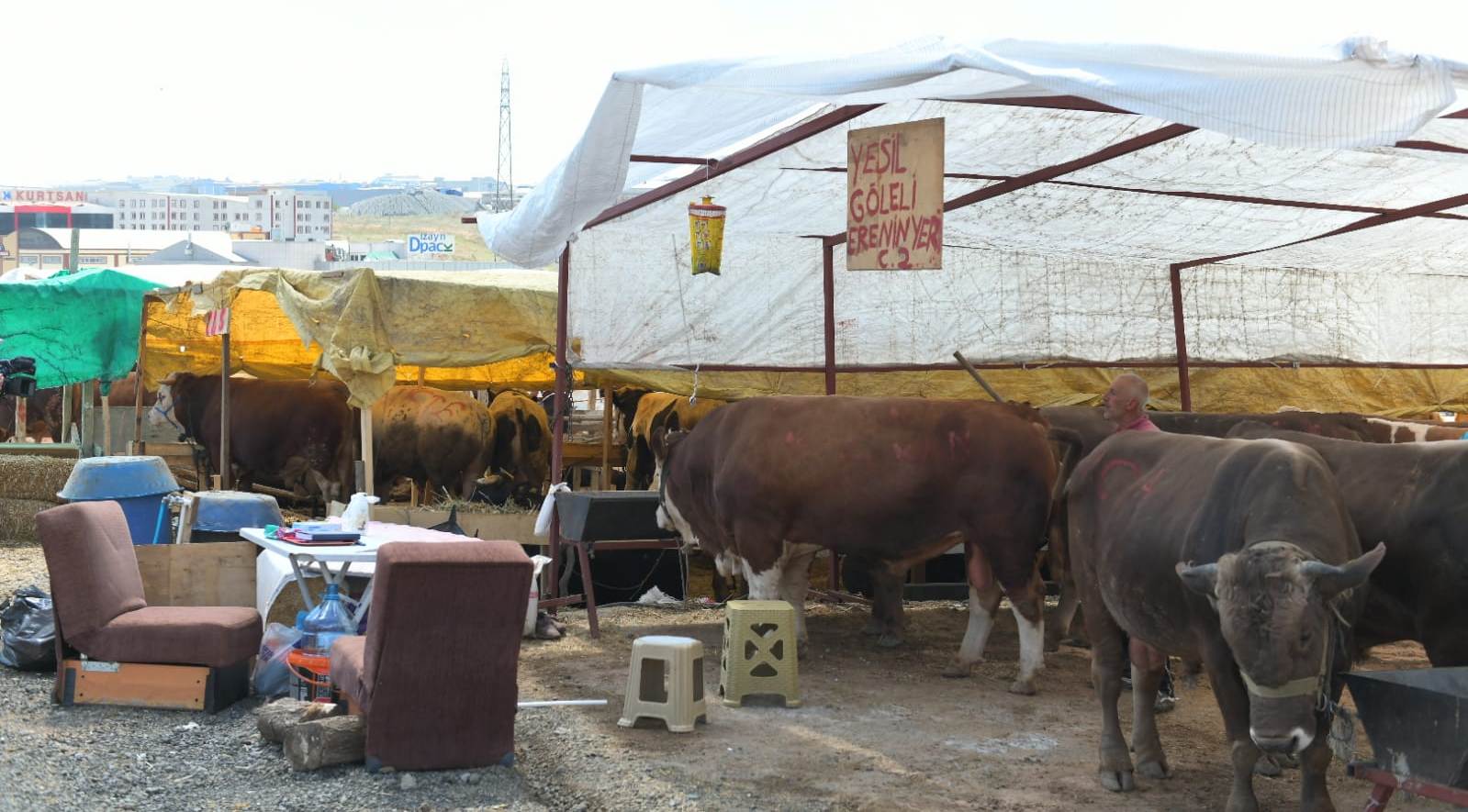 KURBANLIK SATIŞ ALANINDA ‘SİNEKSAVARLI’ ÖNLEM