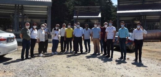 Ormanın ortasına beton temel ve çelik konstrüksiyonla villalar dikildi