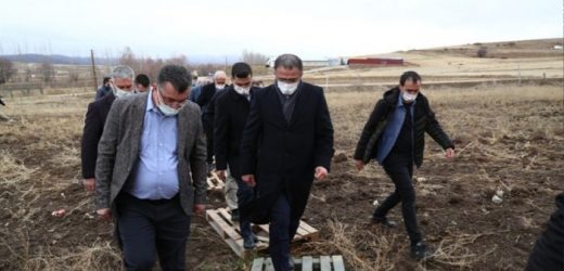 Zile’de Fidanlar Toprakla Buluşuyor