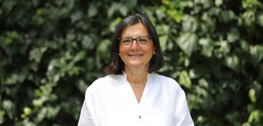 Doğayla Uyumlu Yaşamaktan Başka Çaremiz Yok