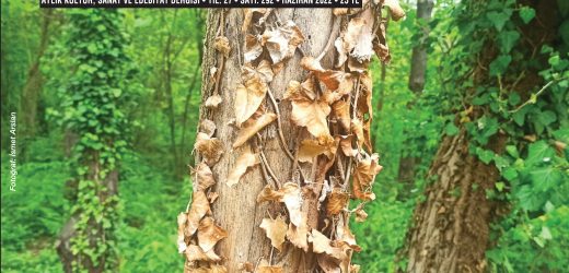 Bahar Berfin Dergisinin Yeni Sayısı Çıktı