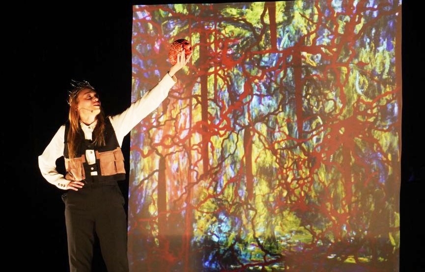 DENİZ SEVİYESİ TİYATRO FESTİVALİ DOLUDİZGİN