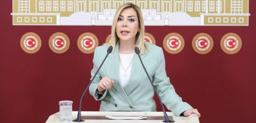 Milletvekili Gökcan: Sayın Akşener Muğla Sahipsiz Değildir…