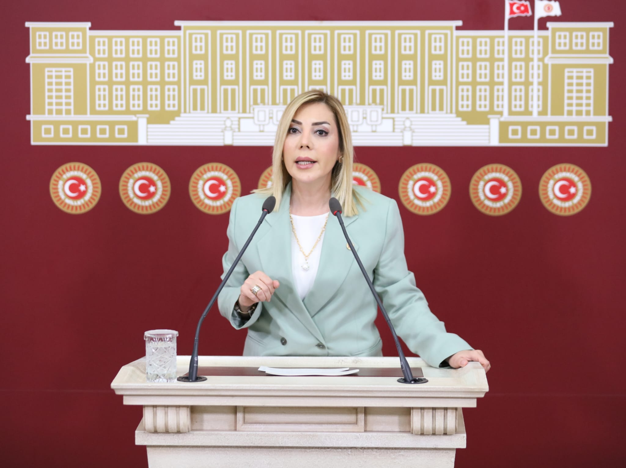 Milletvekili Gökcan: Sayın Akşener Muğla Sahipsiz Değildir…