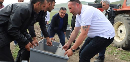 ARDAHAN BELEDİYESİ, HAYVANLAR İÇİN SIVAT ÜRETTİ