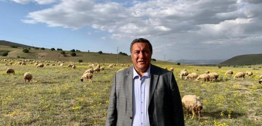 Gürer: “Hayvancılık için mera alanları artırılmalı”