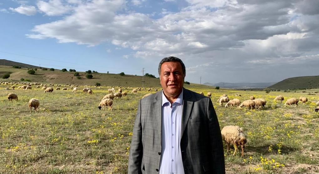 Gürer: “Hayvancılık için mera alanları artırılmalı”