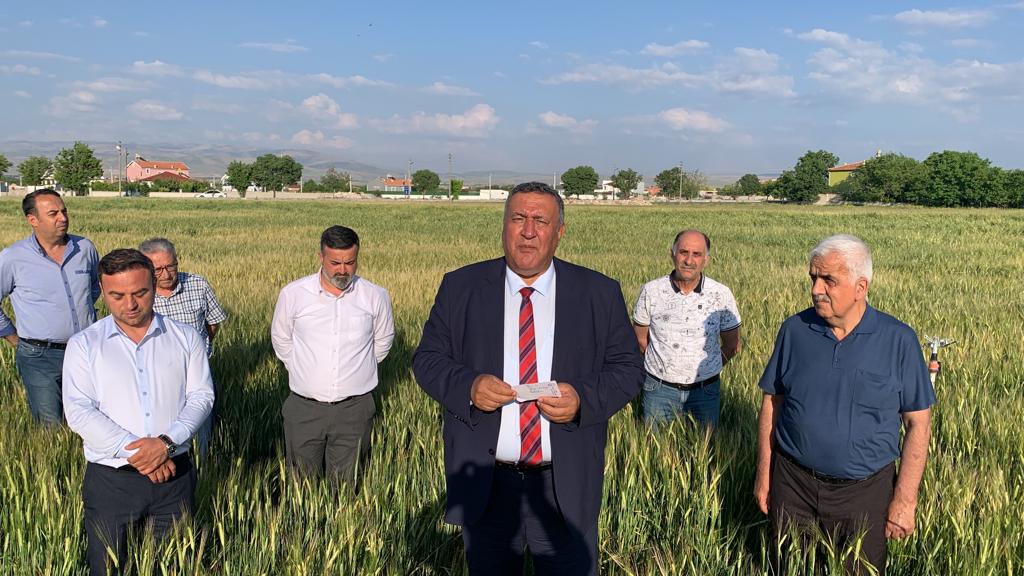 Gürer” çiftçi hasat etmeden taban fiyat eridi”