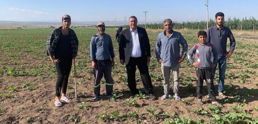 Kadın işçi: “Şeker, yağ alamaz olduk “