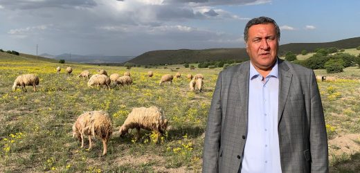 Gürer:  “Göz göre göre hayvan ithalatının kapısı aralandı”