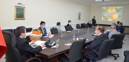 Köyceğiz Portakalı Coğrafi İşaretini Aldı