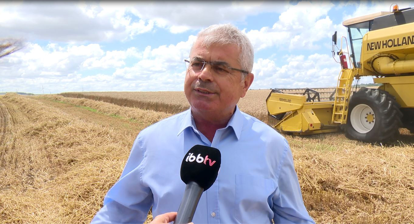 YERLİ TOHUM ÇOK VERİMLİ OLDU