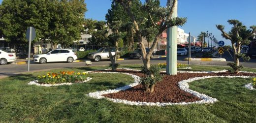 AYVALIK’TA KAVŞAKLAR ARTIK DAHA YEŞİL