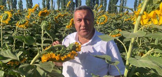 Gürer: “Ayçiçek taban fiyatı açıklanmalıdır “