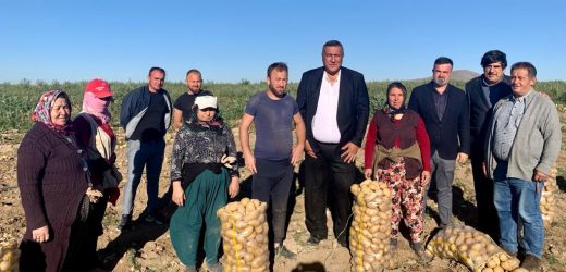 Tarım işçileri: “Ailecek tarlaya gelip çalışmazsak aç kalırız”