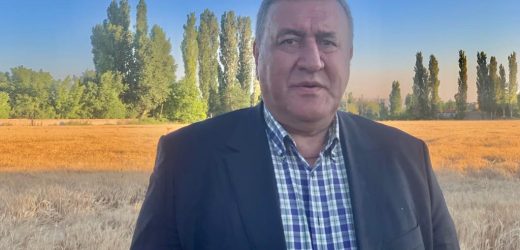 Gürer: “TMO, üreticinin buğdayını yerinde almalı”