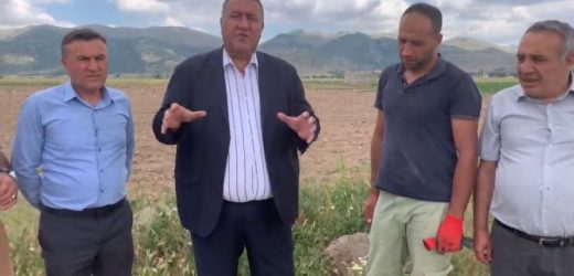 Gürer:  “Patatesin iki kaybedeni üretici ve tüketici”