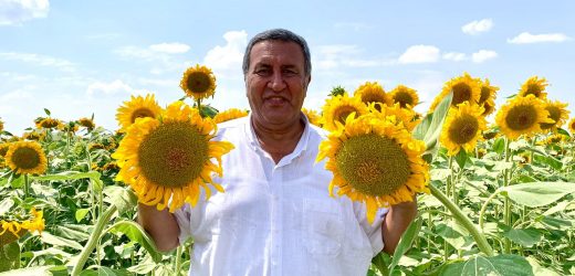 Gürer: Çöl sıcakları, sel, don, dolu derken şimdi de tırtıl istilası…