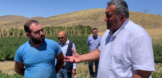 Gürer: “Üreticinin başı dertten kurtulmuyor”