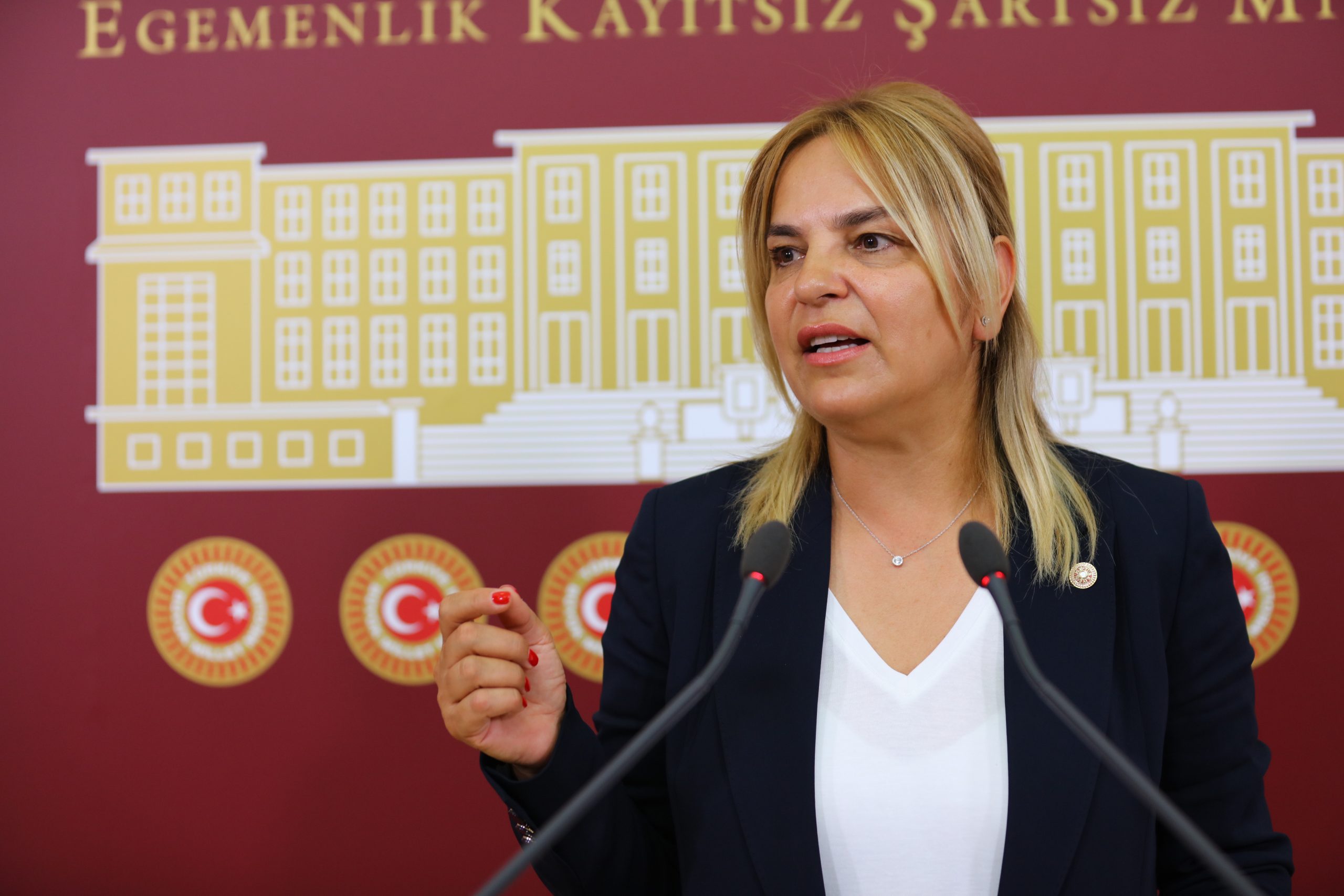 Devlet hastanelerindeki randevu krizi…