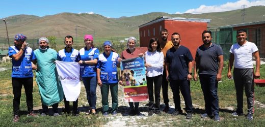 ARDAHAN BELEDİYESİ VE HAYTAP’TAN SOKAK HAYVANLARINA ORTAK ÇALIŞMA