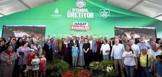 İBB’NİN FİDELERİ MEYVELERİNİ VERDİ