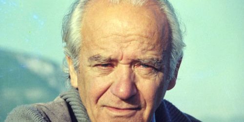 HEY GİDİ KOCA ÇINAR…