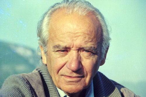 HEY GİDİ KOCA ÇINAR…