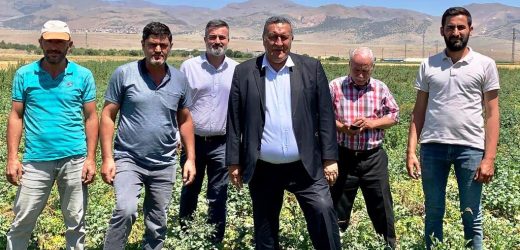 Gürer: “Türkiye’de 20 yıldır TÜİK tarım sayımı yapmıyor”