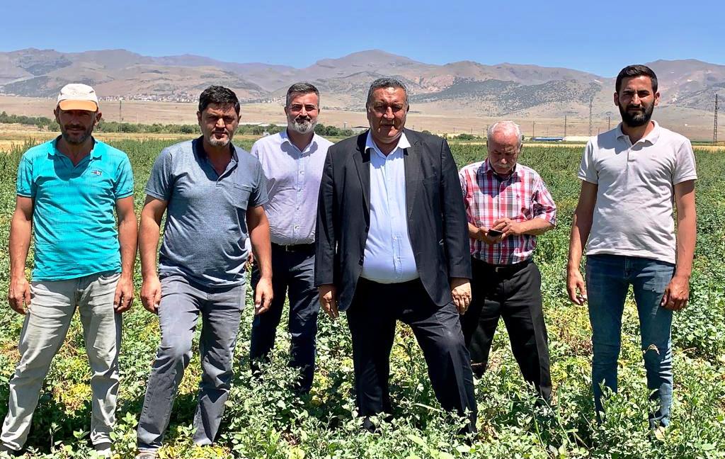 Gürer: “Türkiye’de 20 yıldır TÜİK tarım sayımı yapmıyor”